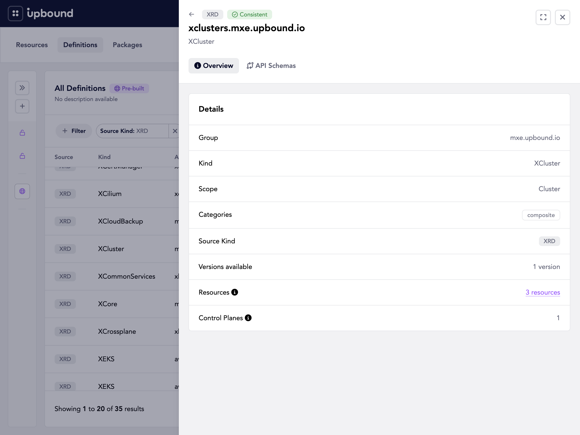 The Overview tab of the definition detail drawer